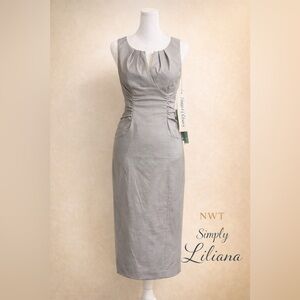 Simply Liliana Silver Midi Dress NWT